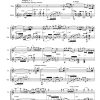 Amanacer (sunset) - Flute | Guitar