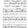 Risorgimento (resurgence) - Flute | Guitar | Cello