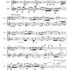 Coraggio (courage) - 2 Flutes