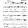 Lamento (lament) - Piccolo | Flute | Alto | Bass - Image 2