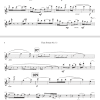 Flute Sonata No. 13
