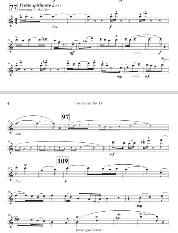 Flute Sonata No. 13