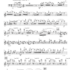 Flute Sonata No. 13