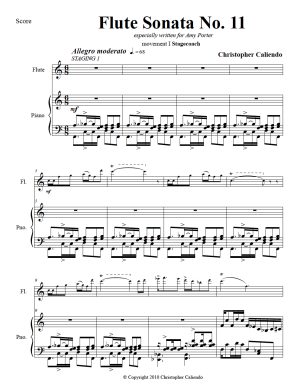 Flute Sonata No 11