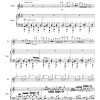 Flute Sonata No. 11 - (The Western Sonata) - Image 3