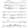 Flute Sonata No. 13