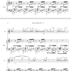 Flute Sonata No. 13