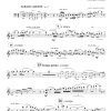 Flute Sonata No. 14 (The Sicilian Sonata) - Image 5