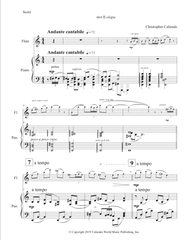 Flute Sonata No. 14 (The Sicilian Sonata) | Caliendo World Music Publishing