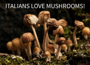 Stewed Mushrooms